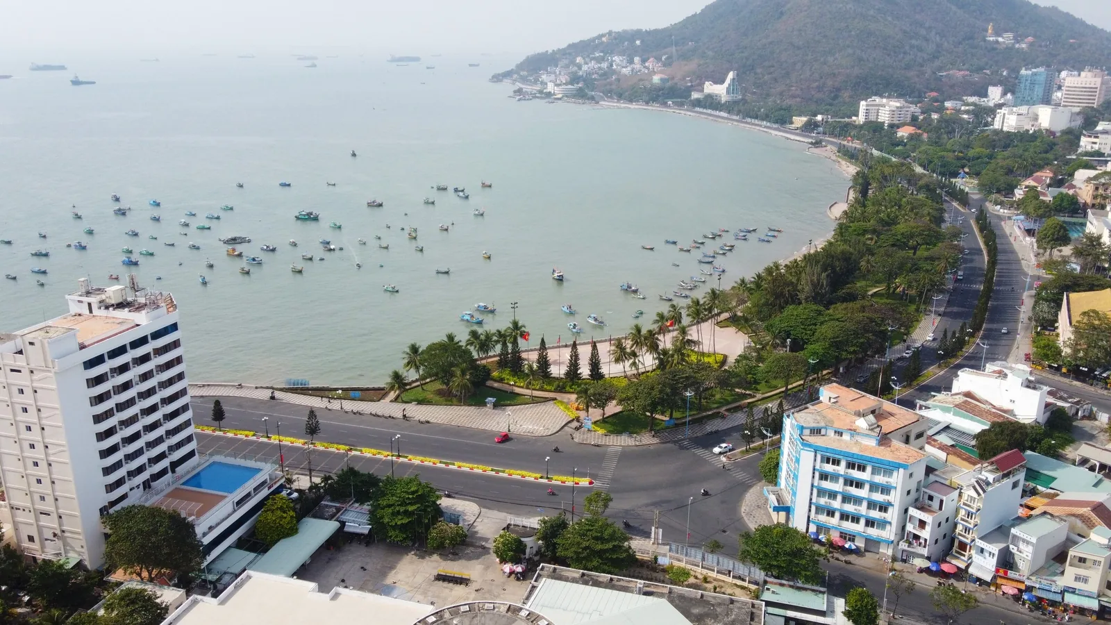 Toàn cảnh vịnh biển Vũng Tàu với thuyền đánh cá, hàng dừa và các tòa nhà trên đồi ven biển.